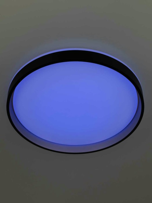 Светильник потолочный Citilux ENZO CL753451G