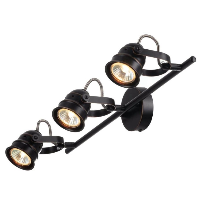 Спот Citilux Веймар CL537531