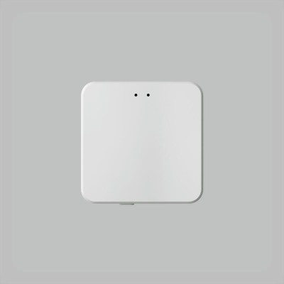 Конвертор Denkirs Control BT DK7401-WF