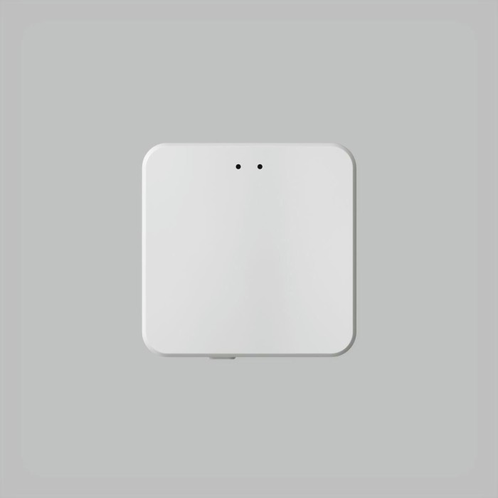 Конвертор Denkirs Control BT DK7401-WF