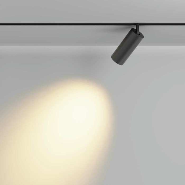 Трековый светильник Maytoni Technical Focus LED TR032-2-20W2.7K-M-B