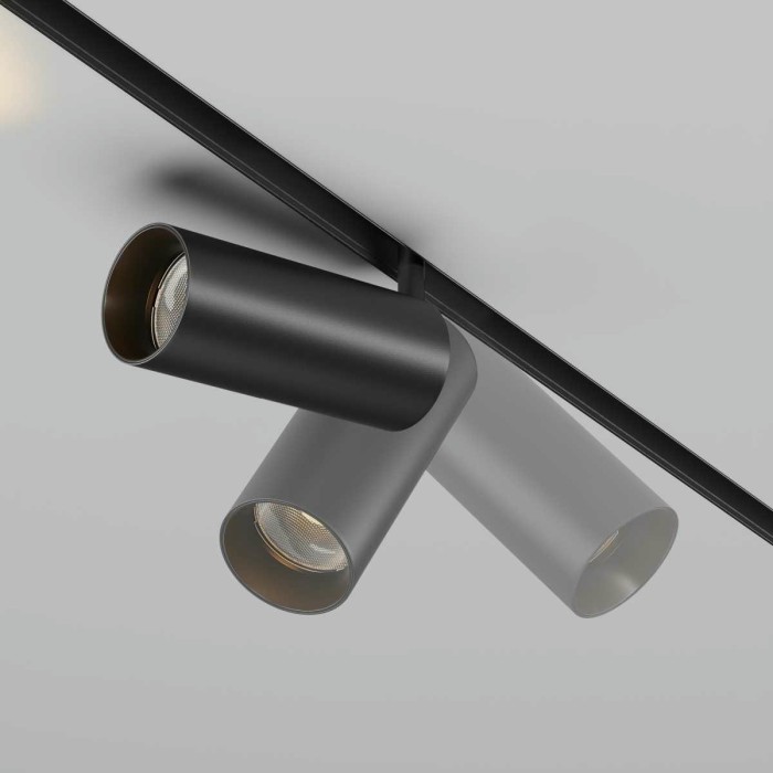 Трековый светильник Maytoni Technical Focus LED TR032-2-20W2.7K-M-B