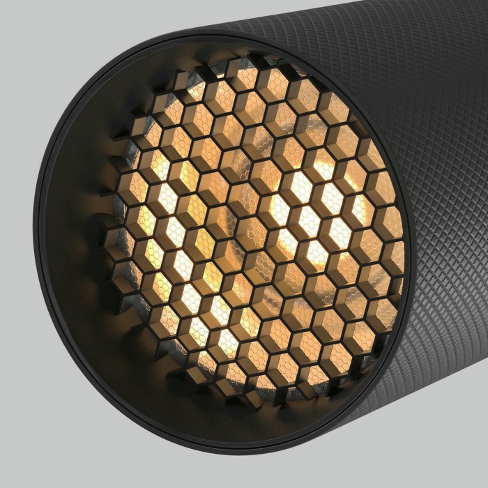 Трековый светодиодный светильник Maytoni Technical Artisan TR097-2-12W2.7K-M-BB