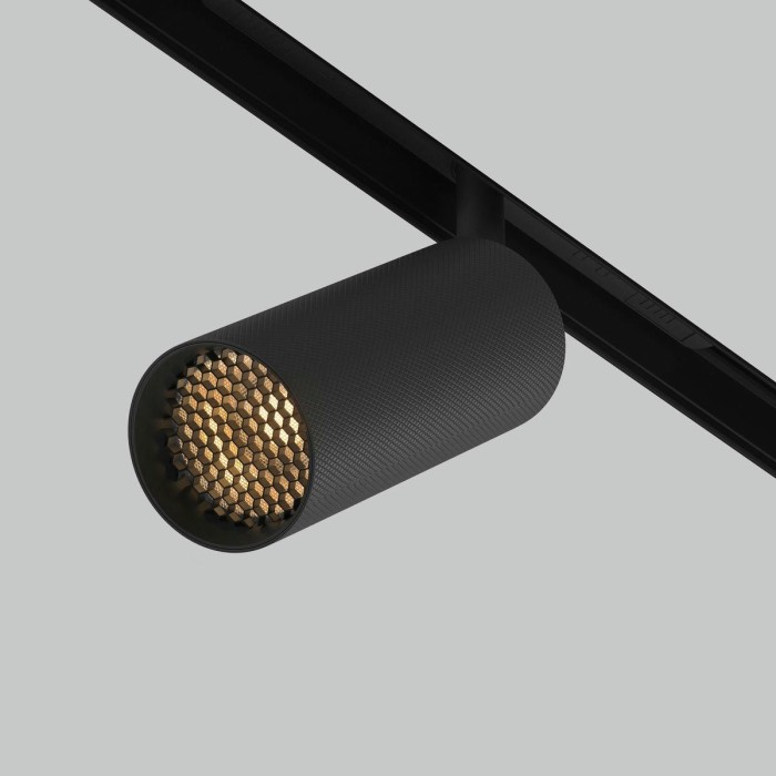 Трековый светодиодный светильник Maytoni Technical Artisan TR097-2-12W2.7K-M-BB