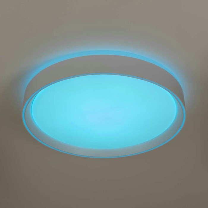 Потолочный светодиодный светильник Citilux Boss CL751350G