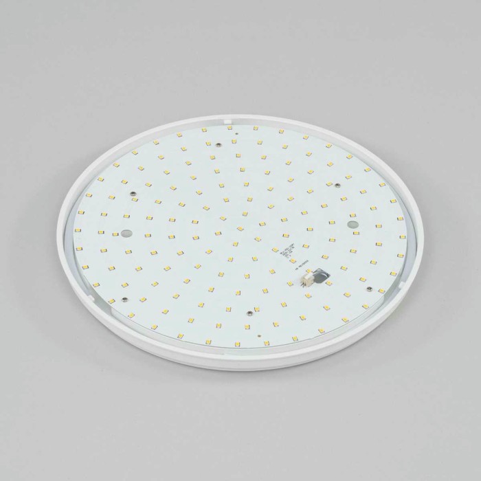 Потолочный светодиодный светильник Citilux Луна CL702221N