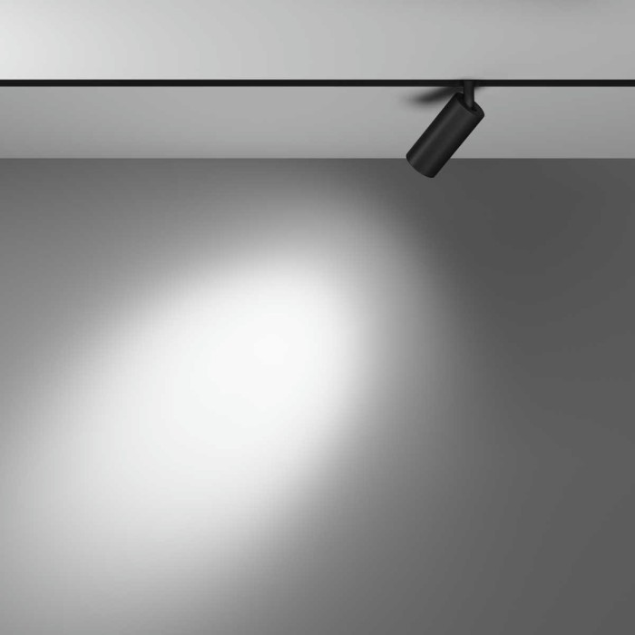 Трековый светильник Maytoni Technical TR032-4-5WTW-M-DD2-B