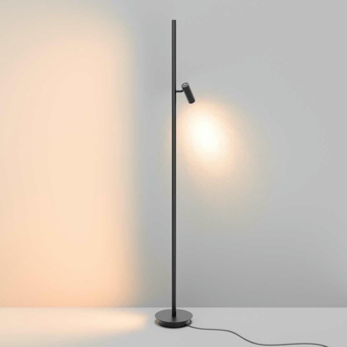 Напольный светильник (торшер) Maytoni MOD395FL-L28B3K