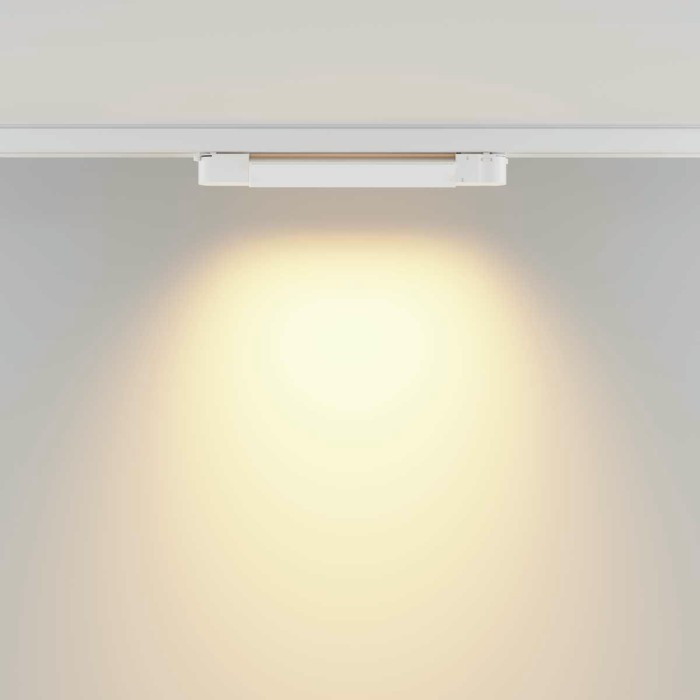 Трековый светодиодный светильник Maytoni Technical Basis TR196-3-10W2.7K-W