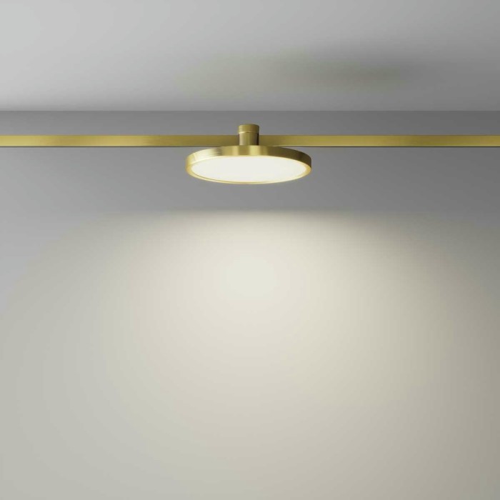 Трековый светильник Technical TR153-1-10W4K-BS