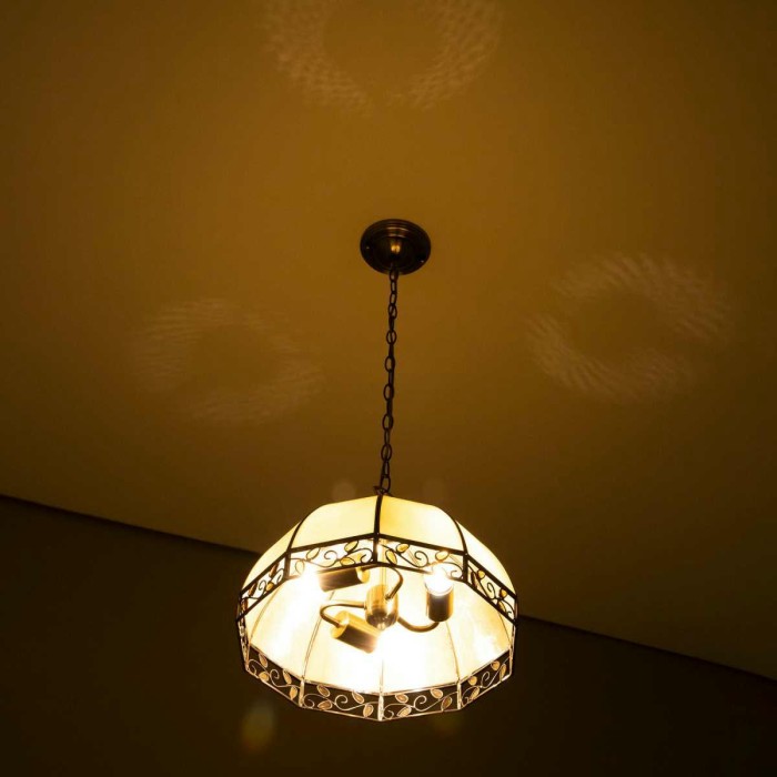 Подвесная люстра Citilux Шербург-2 CL440231