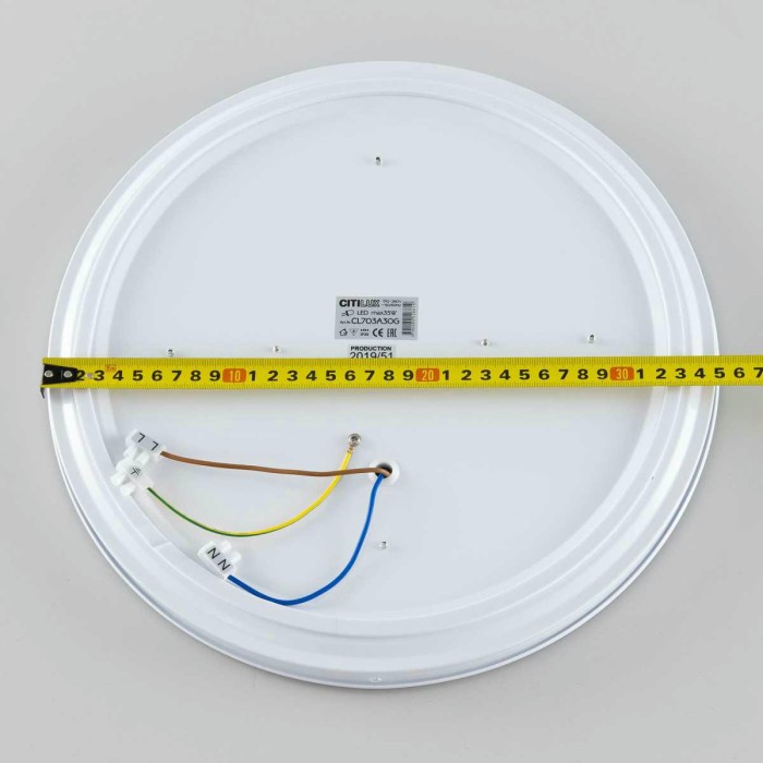 Потолочный светодиодный светильник Citilux Старлайт Смарт CL703A30G