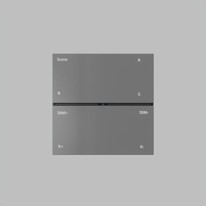 Панель управления Denkirs Control BT DK7201-DG