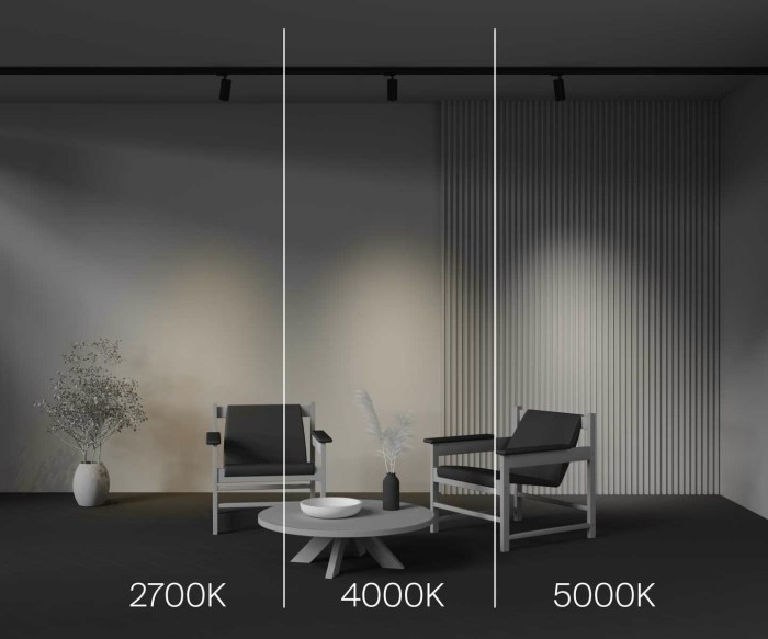 Трековый светодиодный светильник Maytoni Technical Focus Led TR197-3-12WCCT-M-B