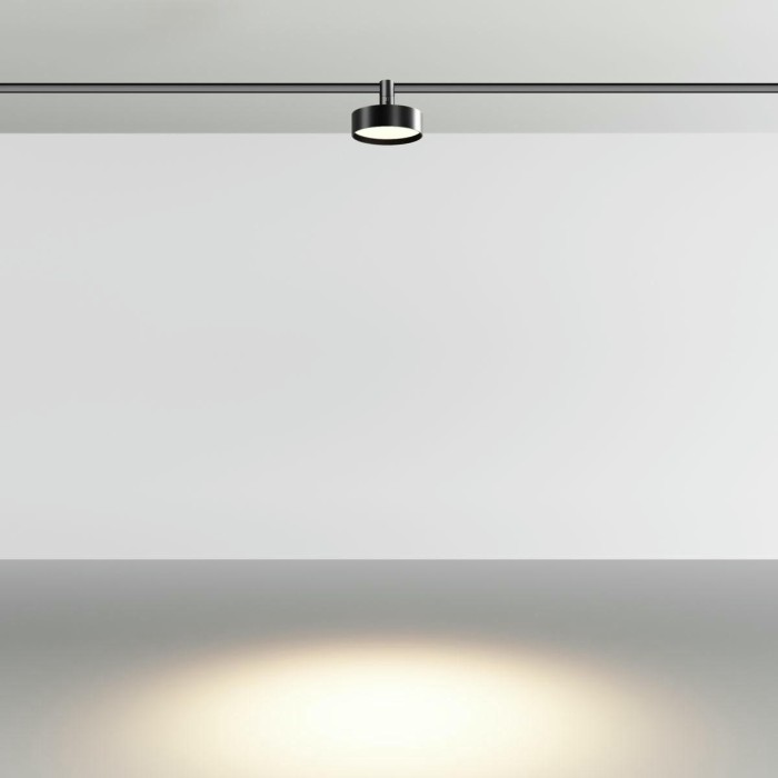 Трековый светодиодный светильник Maytoni Technical Zon TR204-1-12W3K-B