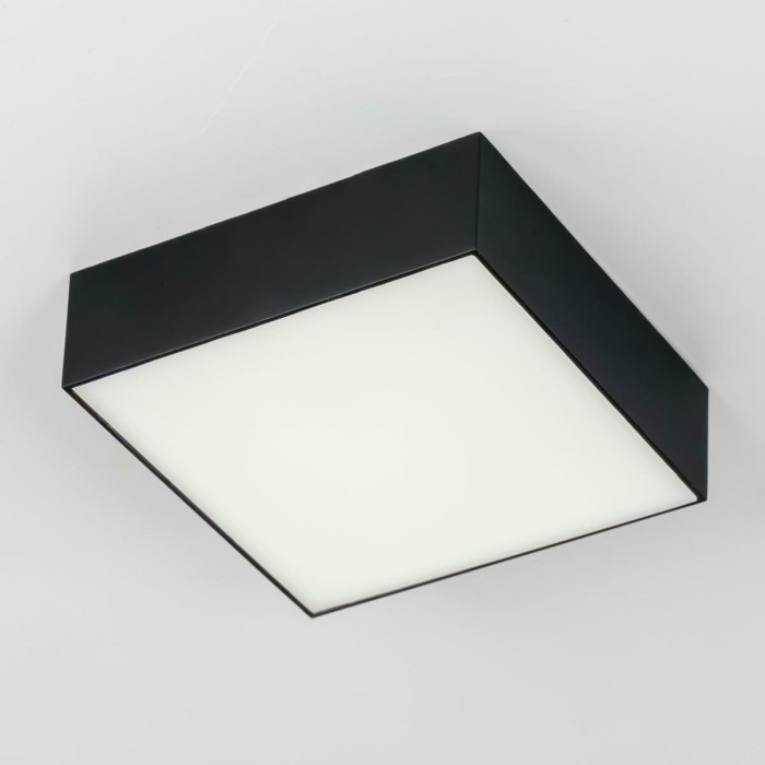 Накладной светодиодный светильник Citilux Тао CL712X122N