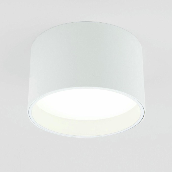 Потолочный светодиодный светильник Elektrostandard 25123/Led Banti 13Вт 4200K a058846