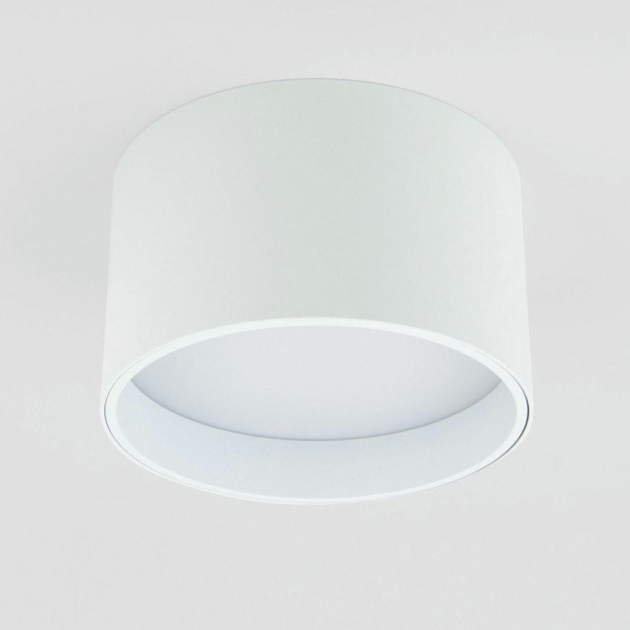Потолочный светодиодный светильник Elektrostandard 25123/Led Banti 13Вт 4200K a058846