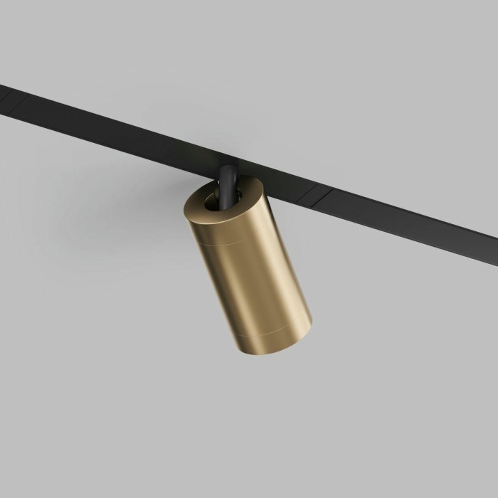 Трековый светодиодный светильник Denkirs Smart Spot DK8010-BG