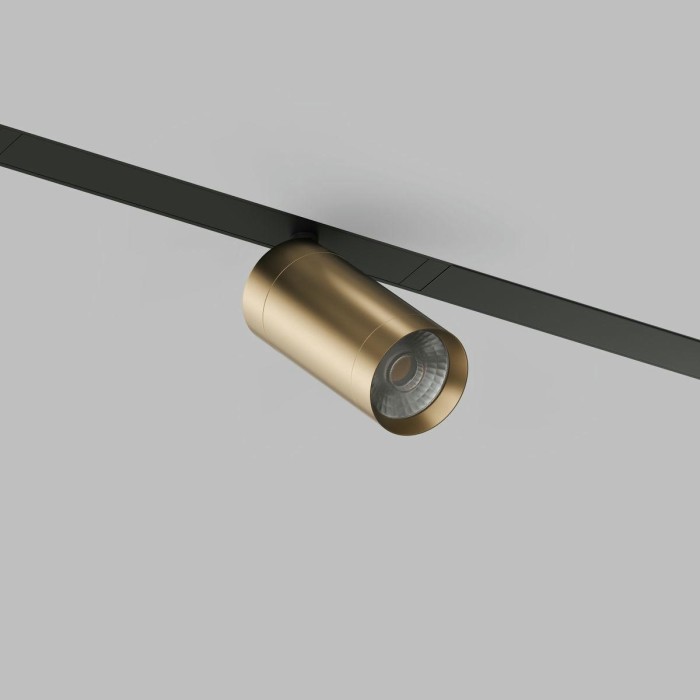 Трековый светодиодный светильник Denkirs Smart Spot DK8010-BG