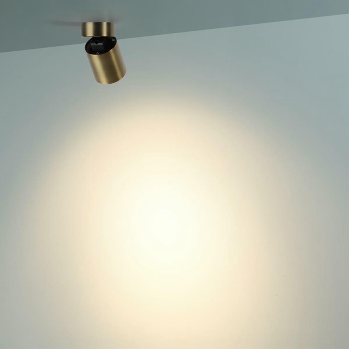 Потолочный светильник Odeon Light HIGHTECH 7131/7CL