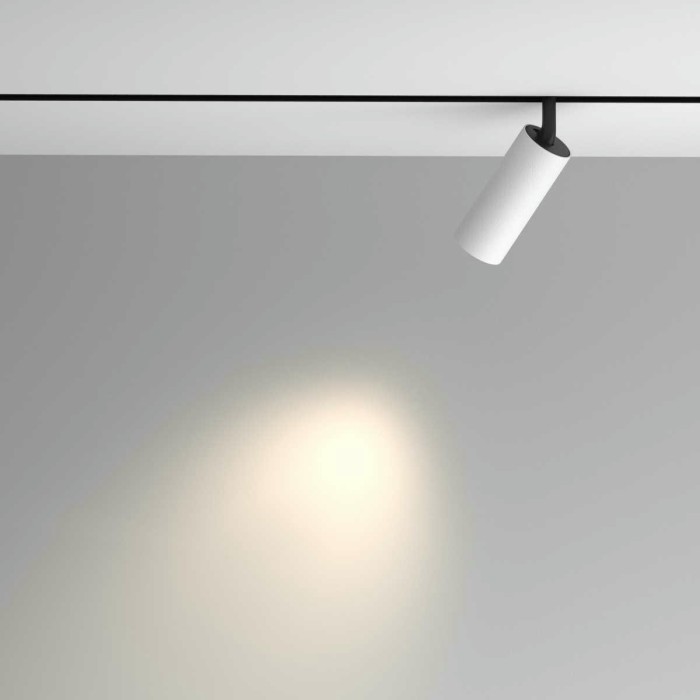 Трековый светильник Maytoni Technical TR097-2-12W4K-M-BW