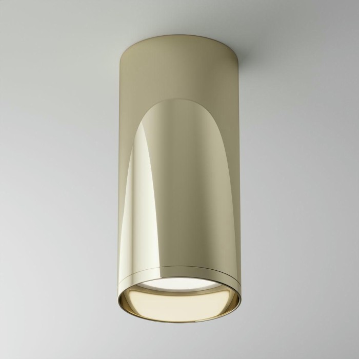 Потолочный светильник Maytoni Technical Focus C010CL-01G