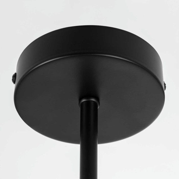 Потолочная люстра Citilux Fisher CL218163