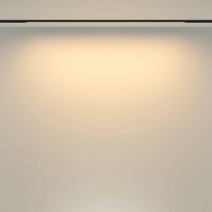 Трековый светильник Maytoni Technical TR173-1-24WTW-B