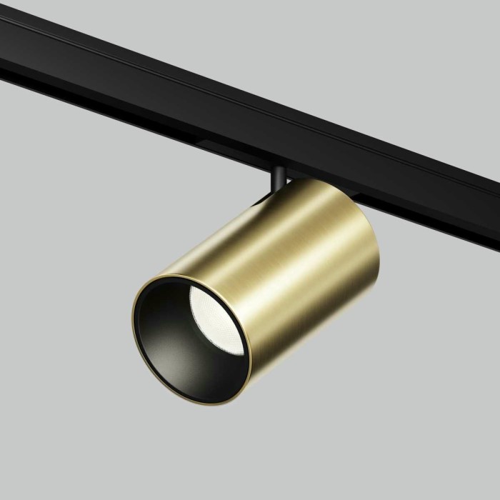 Трековый светильник Maytoni Technical Focus Led TR187-1-5W4K-M-BBS