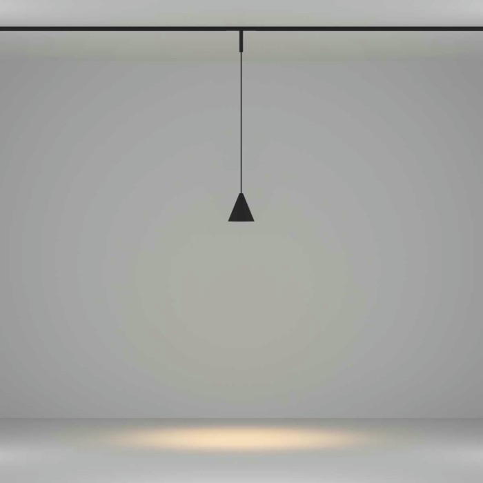 Трековый подвесной светильник Maytoni Technical TR182-1-5WTW-M-B