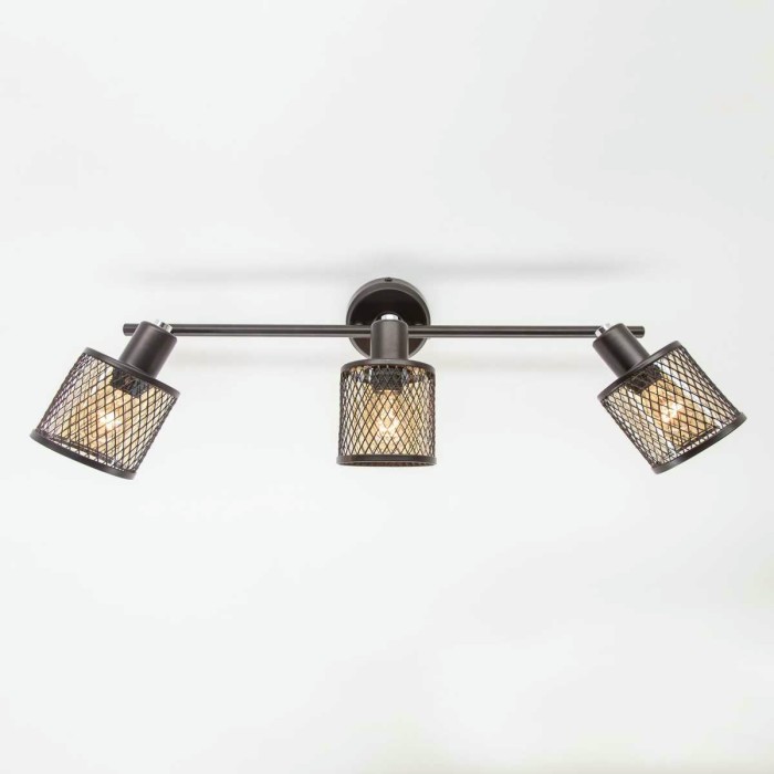 Спот Citilux Робин CL535635