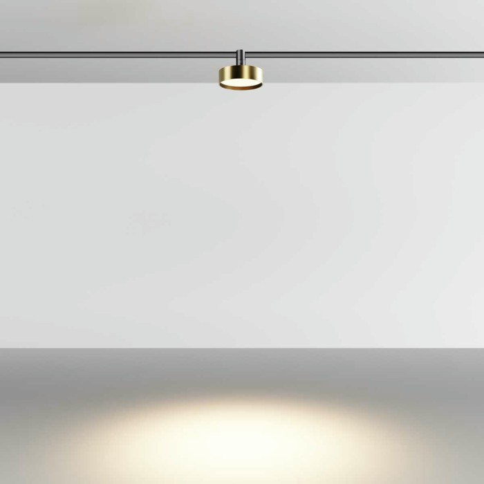 Трековый светильник Maytoni Technical Zon TR204-1-12W3K-BBS