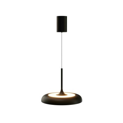 Подвесной светильник Maytoni MOD189PL-L39B3K