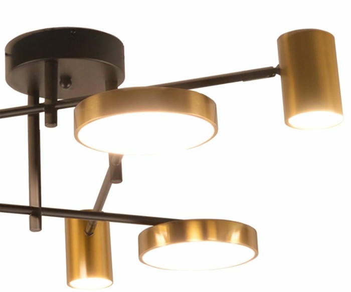 Потолочная светодиодная люстра Kink Light Рапис 07645-6D,19(20)