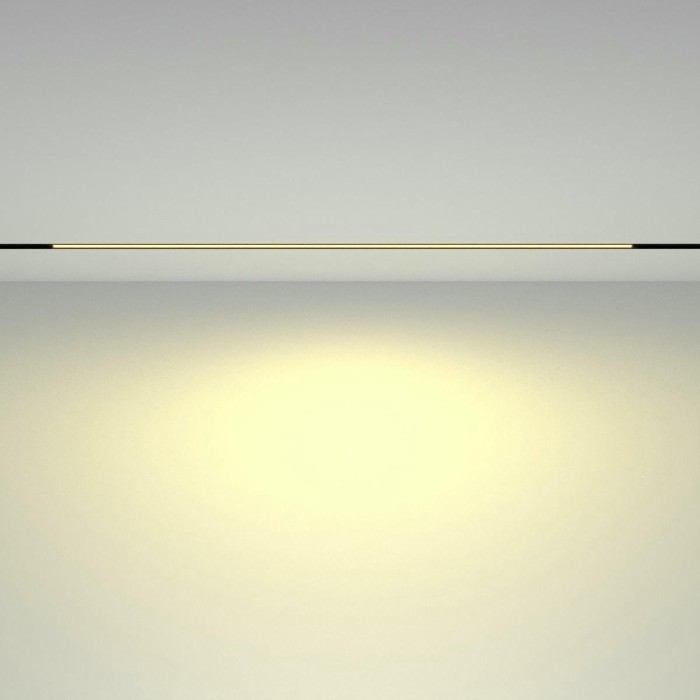 Трековый светодиодный светильник Maytoni Technical Basis TR030-2-30W2.7K-B