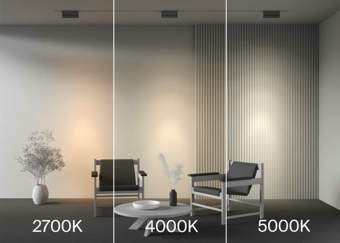 Трековый светильник Maytoni Technical TR223-1-12WCCT-W-B