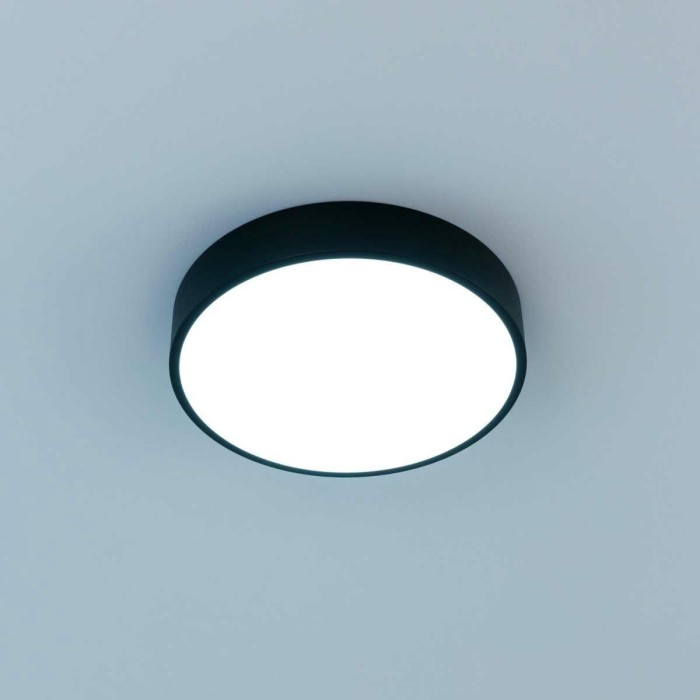 Потолочный светильник Citilux Купер CL72424V1