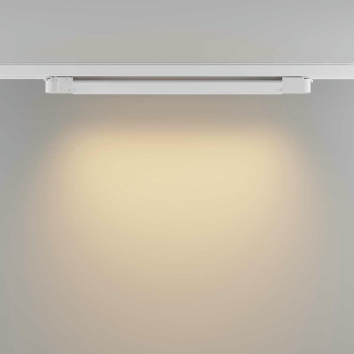 Трековый светодиодный светильник Maytoni Technical Basis TR196-3-20W2.7K-W