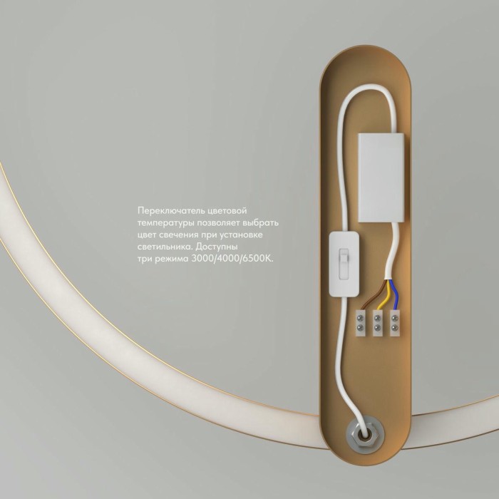 Настенный светодиодный светильник Denkirs Round DK5035-SG