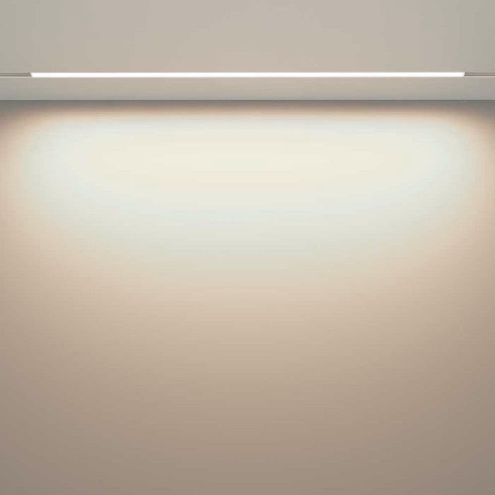 Трековый светодиодный светильник Maytoni Technical Exility Basis TR030-2-30W4K-W