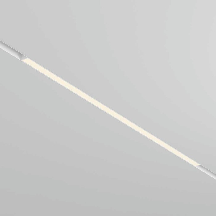 Трековый светодиодный светильник Maytoni Technical Exility Basis TR030-2-30W4K-W