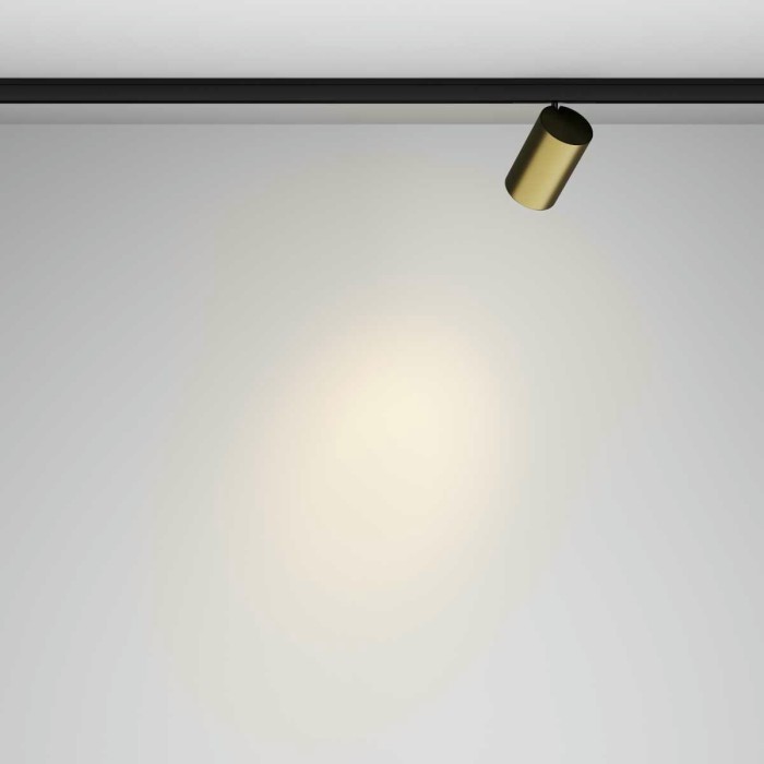 Трековый светильник Maytoni Technical Focus Led TR187-1-9W3K-M-BBS