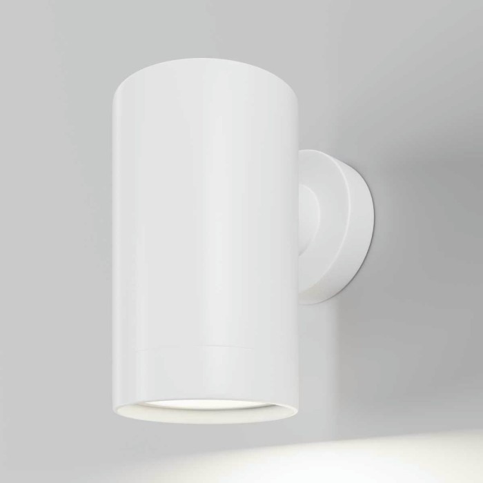 Бра Maytoni Outdoor O493WL-01W