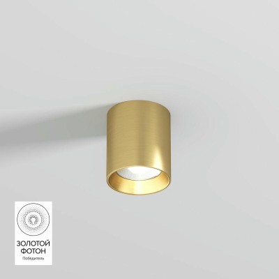 Потолочный светодиодный светильник Denkirs Shine Tube DK2610-SB