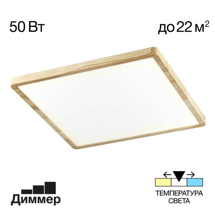 Светильник накладной Citilux Бейсик CL738K502V