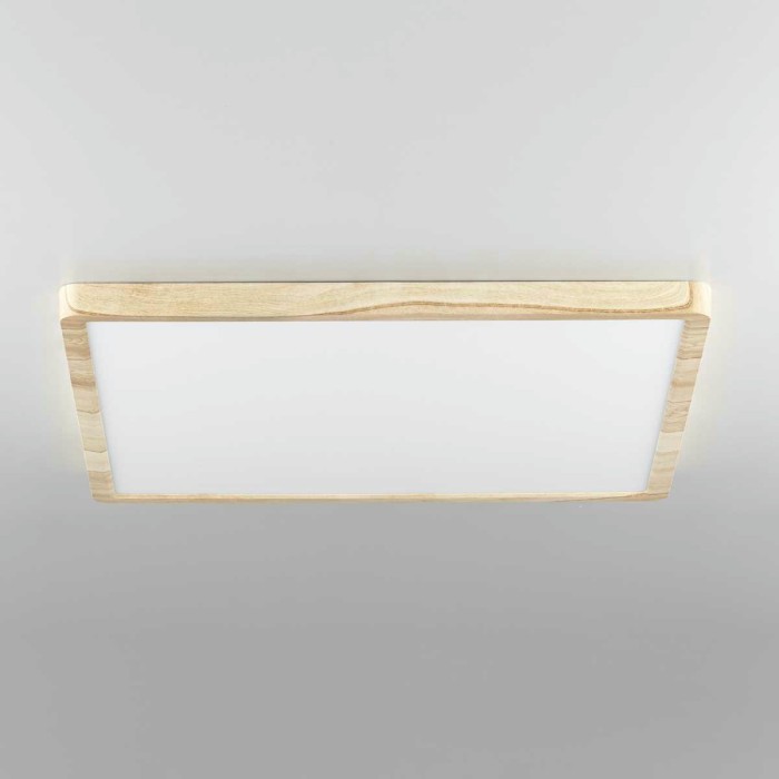 Светильник накладной Citilux Бейсик CL738K502V