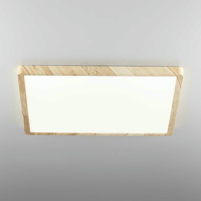 Светильник накладной Citilux Бейсик CL738K502V