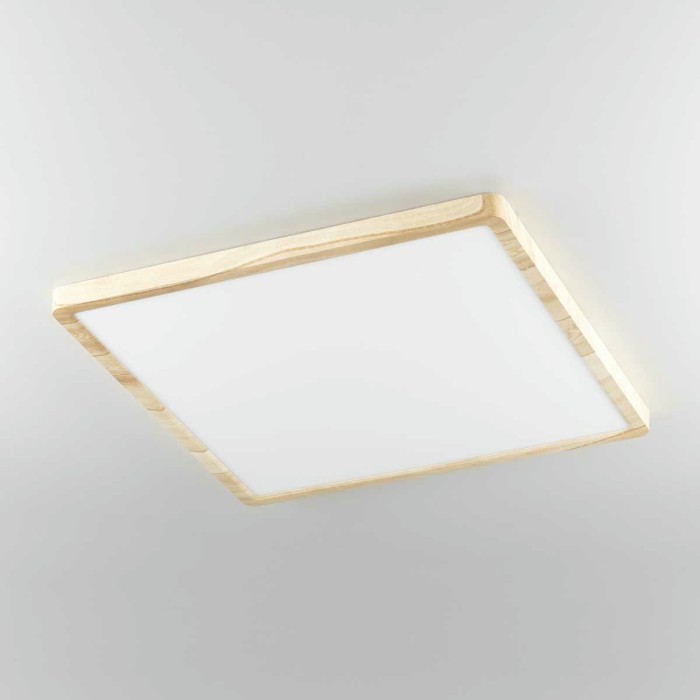 Светильник накладной Citilux Бейсик CL738K502V