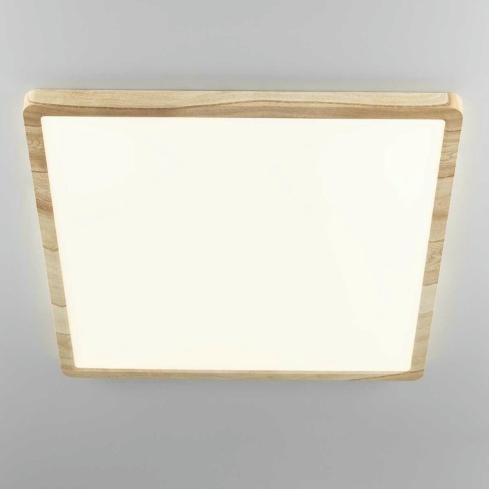 Светильник накладной Citilux Бейсик CL738K502V